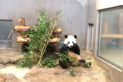 Ueno Zoological Gardens